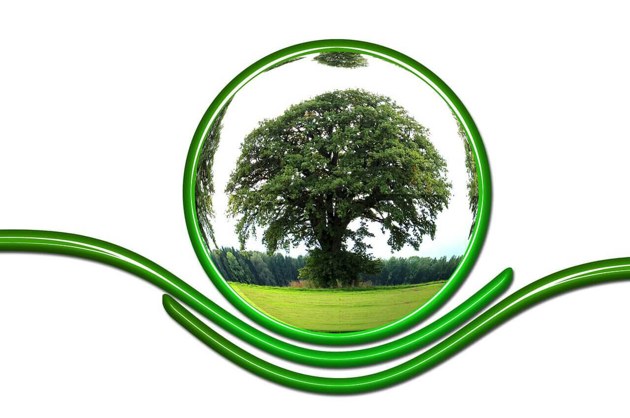 Limpieza comunidades